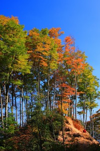 申花士气高昂，稳健发挥，凭实力开创新纪录