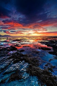 豪情万丈！中国女足对抗英格兰力争胜利