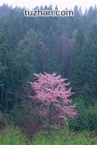 马达加斯加战胜乌干达，小组出线机会微弱