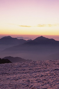 球员状态火爆，带领球队冲向胜利