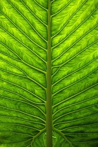 勇往直前，球队团结一致战胜强敌晋级！